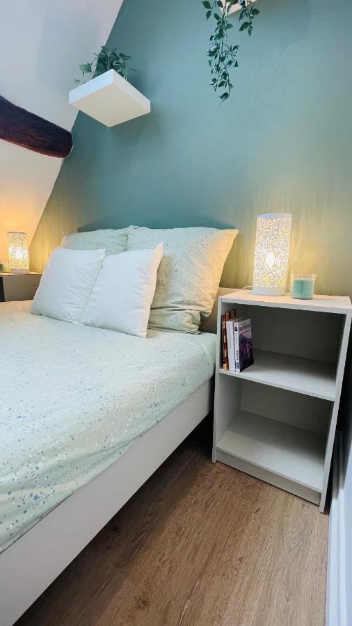 Le Champs Des Oiseaux Apartment Rouen Ngoại thất bức ảnh